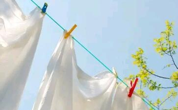 干洗的過程和原理是什么？